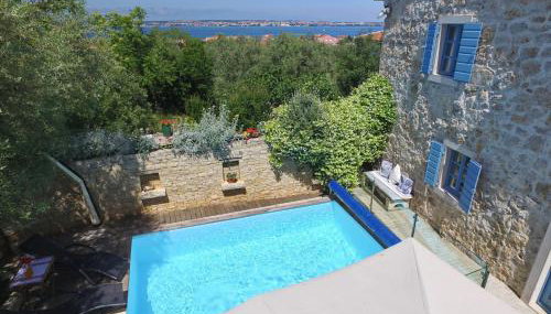 Olive's Hug - Foto 2