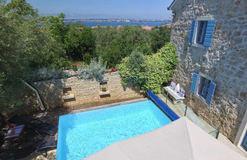 Olive's Hug - Foto 2