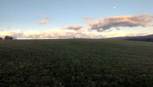 Exquisite Sunny Cabin Rental with a Hot Tub in Front Royal, Virginia - Photo 3