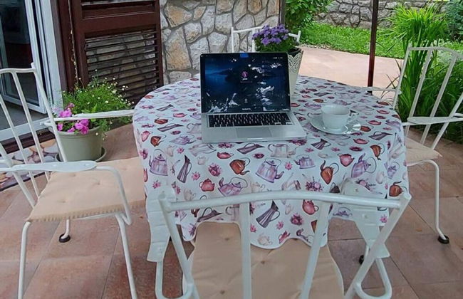 Green Garden Oasis - Photo 28