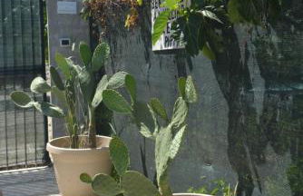 Villino Anna e Pippino - Foto 58