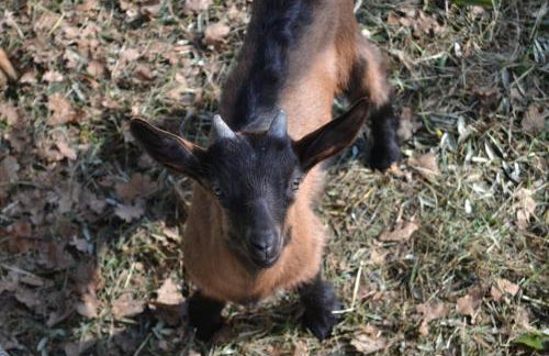 Casa Rossana - Foto 12