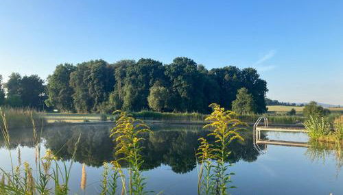 Der Welfenshof - Foto 5