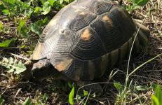 LA PIANA Holiday House - Foto 39