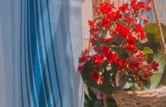 Ninù's Home - Foto 1