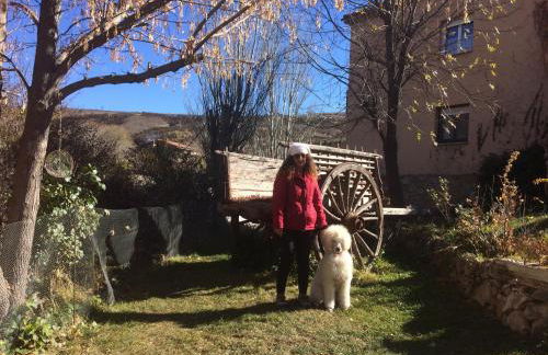 Casas Rurales Chon Alto Tajo - Foto 80