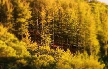 Ferienwohnung Hirschkopf - Foto 37