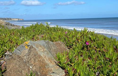 Le Cocon de Mahé - Photo 47