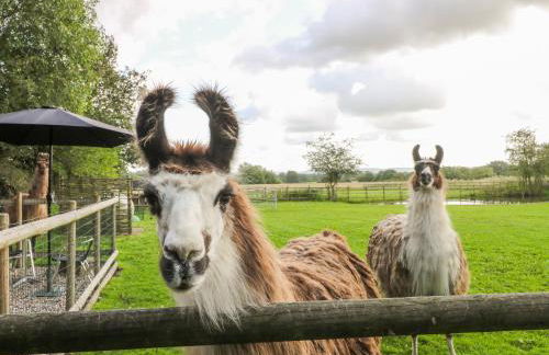 Chequer Stable - Photo 23