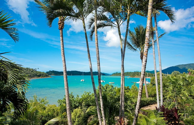 Baybliss Studio 3 - Foto 15