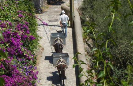 Amalfi, Panorama, Relax & Privacy! - Foto 33