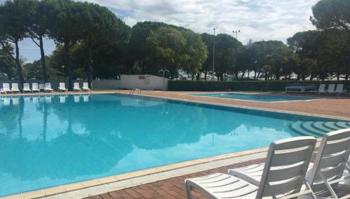 Stella marina - Photo 5