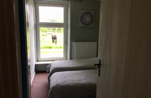 Steinhaus Hof - Foto 36