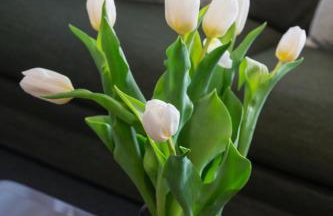 Sun & Sea Suite, Kavouri - Photo 9