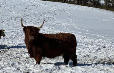 O'Hares Farmhouse - Foto 14