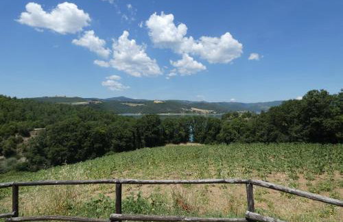 SCAPPO IN UMBRIA, casale al lago - Foto 48