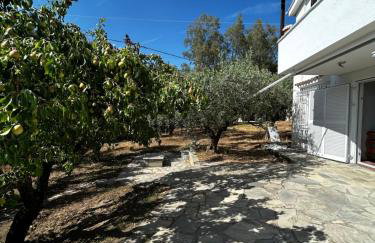 Villa Helga by the Sea - Photo 18