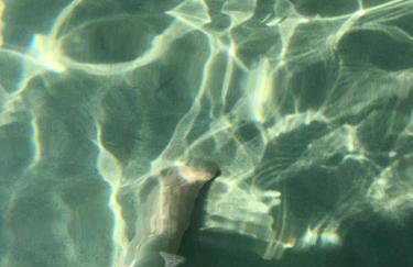 Atlas Relax - Foto 56