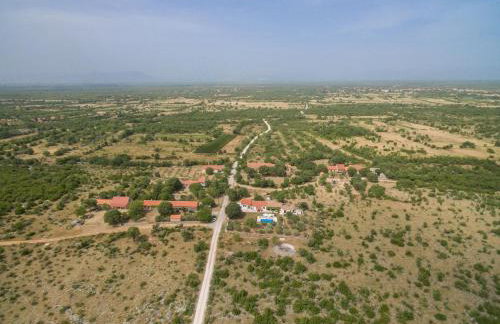 Villa Vitis ZadarVillas - Foto 36