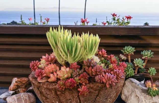 Beautifully Designed Palos Verdes Villa w/ Private Beach and Stunning Views - Foto 45