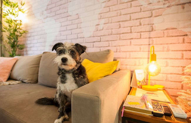 LOCAR-IN GRAMADO- Onze-1 - Foto 18