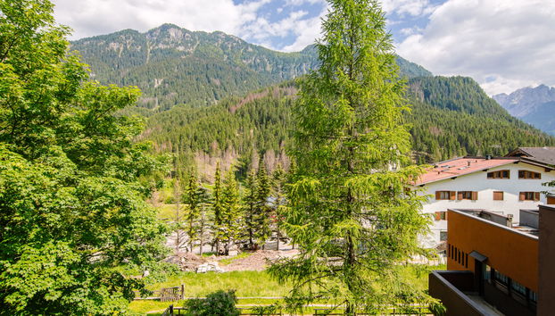 Appartamento Antermoia - Photo 5, View