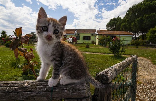 Agriturismo Il Roseto - Foto 61