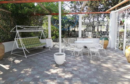 Wild Paradise - Foto 14