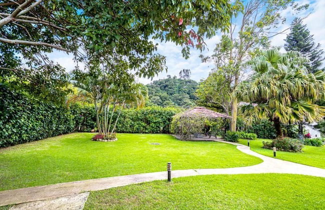 Downtown Suites - Foto 35