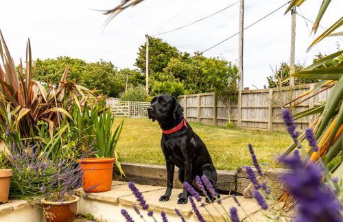 Poachers Lodge At Tapnell Farm - Foto 20