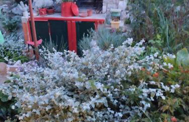 Apartments with parking space Grohote, Solta - 23166 - Foto 7