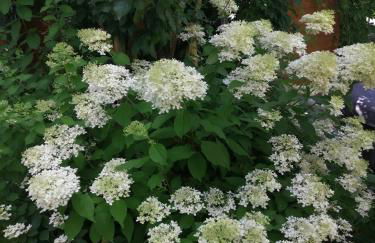 Urlaub mit Charme in der kleinsten Stadt der Pfalz. - Foto 41