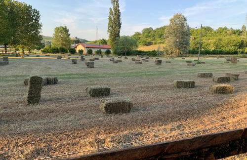 Casa villetta "La Colomba" Nizza Monferrato - Foto 46