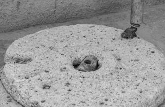 Niriides Studios - Foto 33