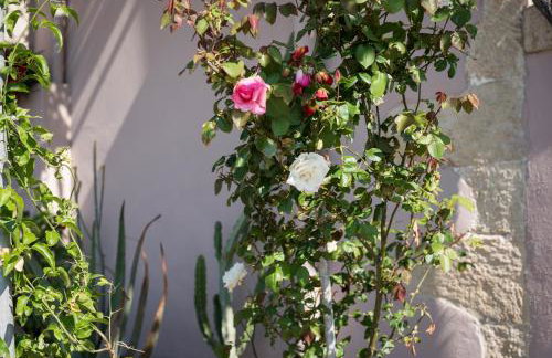 Casa Ermioni Stone House - Photo 65