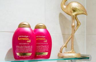 The Park At Holyrood - Photo 36