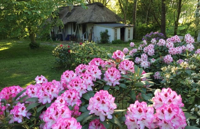 Warft Simmerdeis 2 Comfortable Holiday Residence - Foto 15