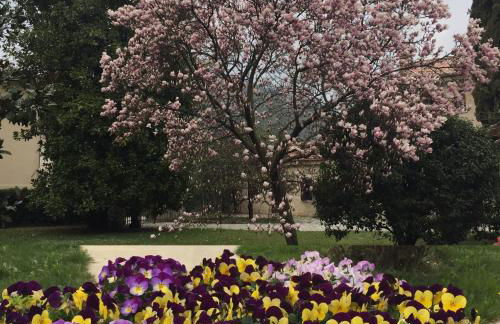 Agriturismo Villa Panigai - Foto 37