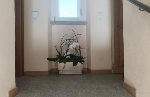 Langhe & Wine Accommodation - Foto 12