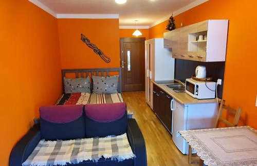 Apartamenty Dzika Orlica - Foto 71