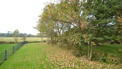 Robbenhues - Foto 4, Garden