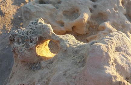 Nel Cuore Del Salento Dimora Tipica - Foto 32