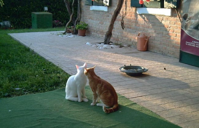 Locanda Antico Fighèr - Foto 39