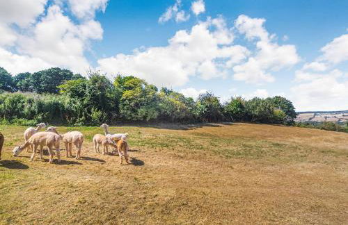 New Barn Reservoir - Foto 8