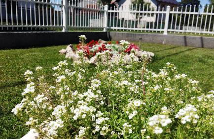 Holiday Home Bulog - Foto 60