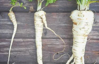 Welshhomestead - Foto 18