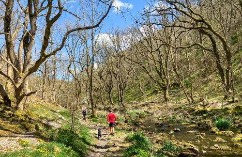 Paddock Cottage - Foto 24