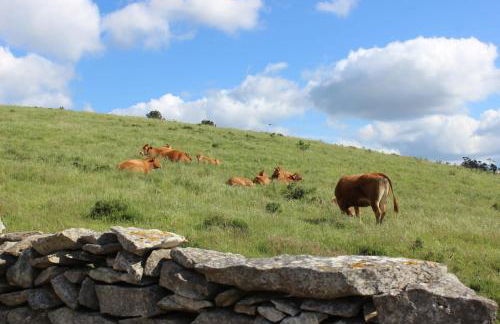 Renovated Wine Press House - WITH POOL - Foto 43