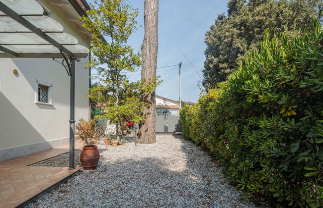 Michelangelo I - Foto 14