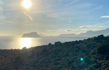 Natalie Calpe Sun 100m to the Beach center - Photo 41